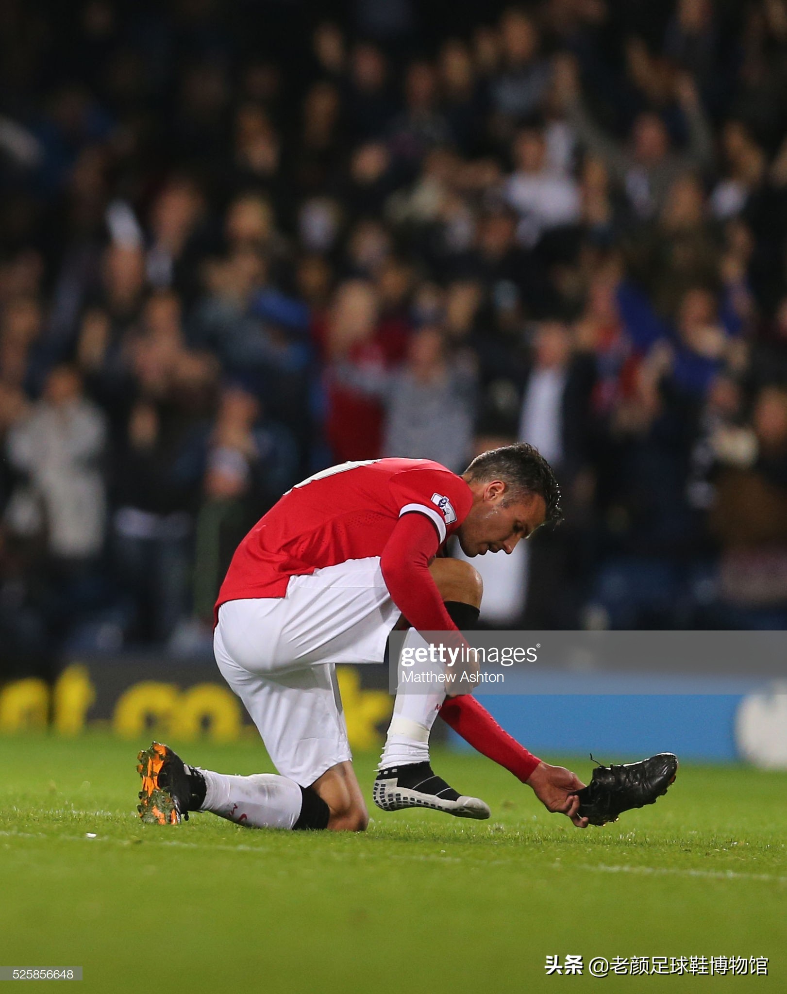 必须深入了 必须深入了