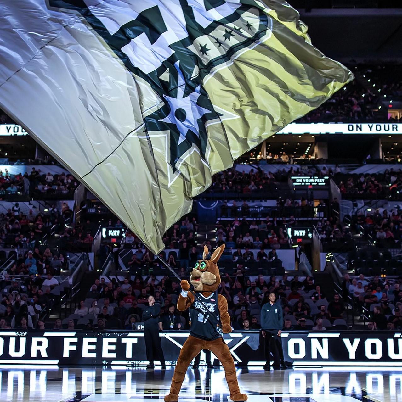 制定出适合 制定出适合